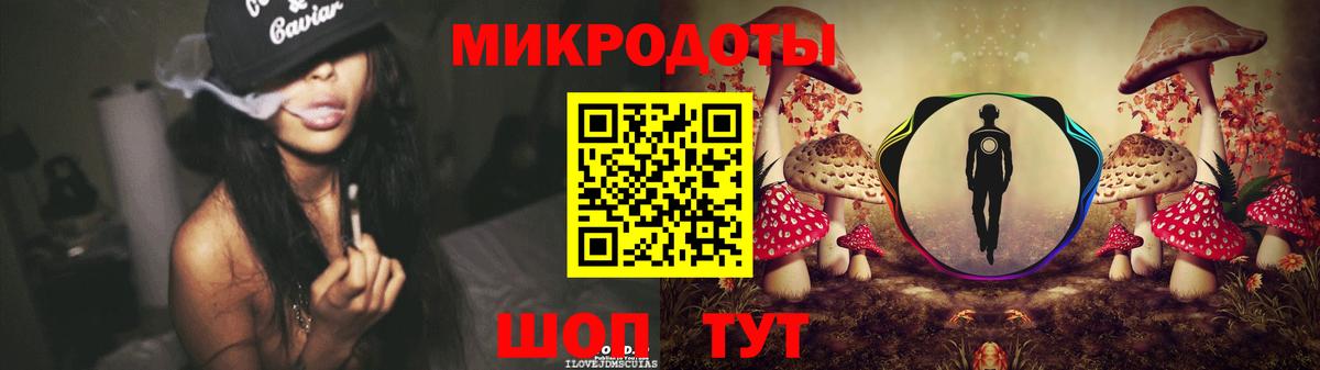 Галлюциногенные грибы Psilocybe  хочу   Галлюциногенные грибы прущие грибы  Нефтекумск  Вход с VPN 